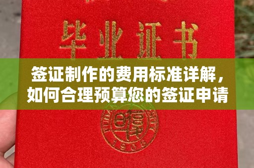 应城签证制作的费用标准详解，如何合理预算您的签证申请成本
